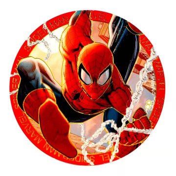Marvel Spider-Man Engraving Metal Art Magnet
